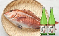 鮮魚・日本酒（幻の酒）定期便