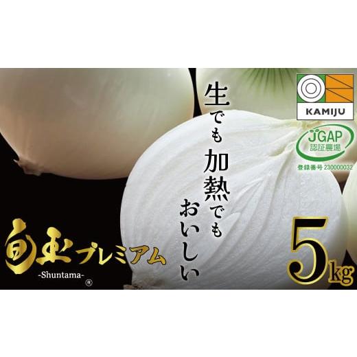 ふるさと納税 愛知県 碧南市 初夏の新玉ねぎ「旬玉」プレミアム5kg 5月発送 ブランド玉ねぎ 玉ねぎ 新玉ねぎ 国産 愛知県産 野菜 やさい 農家直送 畑直送 旬 …