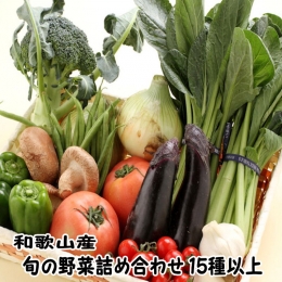 旬の新鮮野菜セットたっぷり15種以上