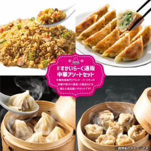 すかいらーく 通販 バーミヤン 中華 アソートセット 冷凍 点心 セット 炒飯 小籠包 焼売 餃子 人気の詰め合わせセット 冷凍食品 買い溜め