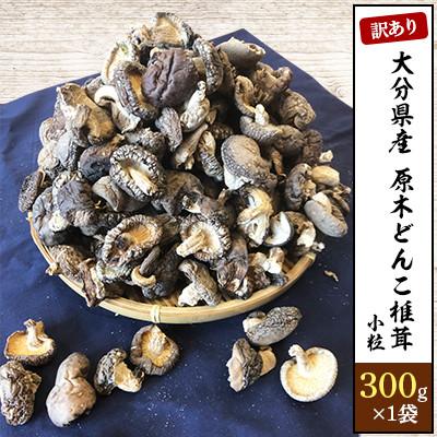 ふるさと納税 中津市 大分県産原木訳あり小粒どんこ椎茸300g