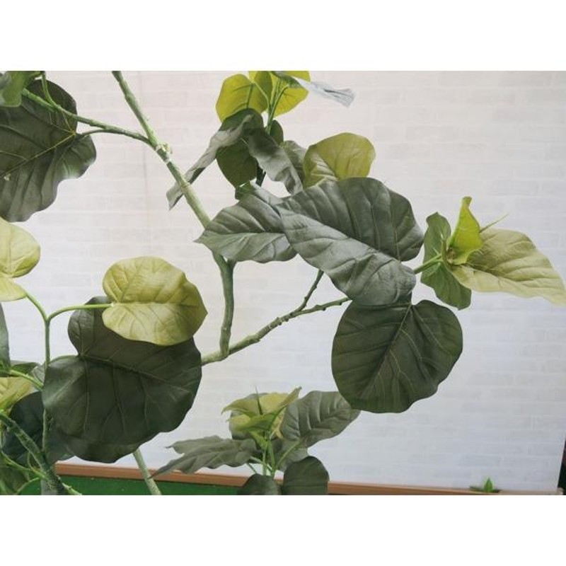 ウンベラータ 200cm (造花 インテリア グリーン 観葉植物 室内 大型