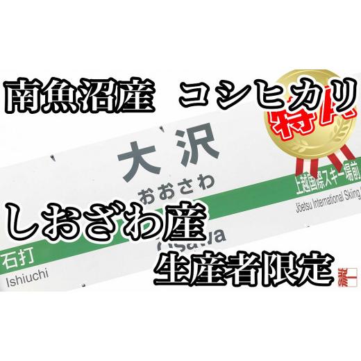 ふるさと納税 新潟県 南魚沼市 生産者限定 契約栽培 南魚沼しおざわ産コシヒカリ