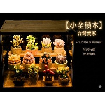 【小全積木】深夜微光 多肉森林 療癒組裝 擬真植栽 質感收藏 挑戰手作 創意盆栽 暖色燈光 居家擺飾 職人手作 聖誕禮物