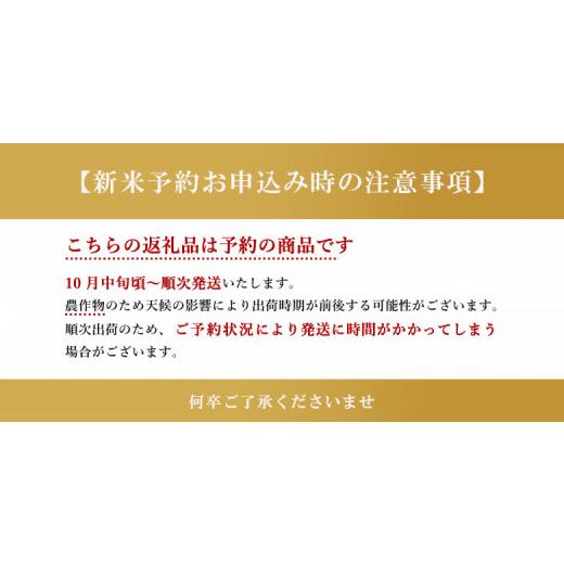 ふるさと納税 熊本県 玉名市  新米 令和5年産 ひのひかり 白米 9kg×3袋