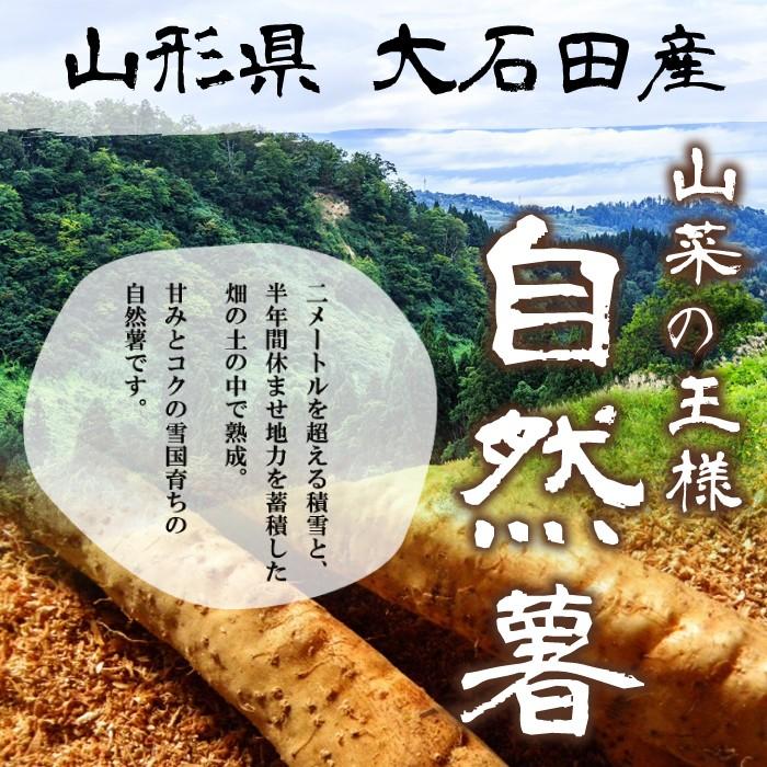 自然薯 2kg 山形県 大石田 送料無料 甘みとコク 入手困難