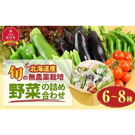 ふるさと納税 北海道旭川産　旬の無農薬栽培 野菜の詰め合わせ　6〜8種（3〜5kg） 北海道旭川市