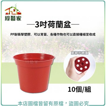 【綠藝家】3吋荷蘭盆(栽培盆)10個/組