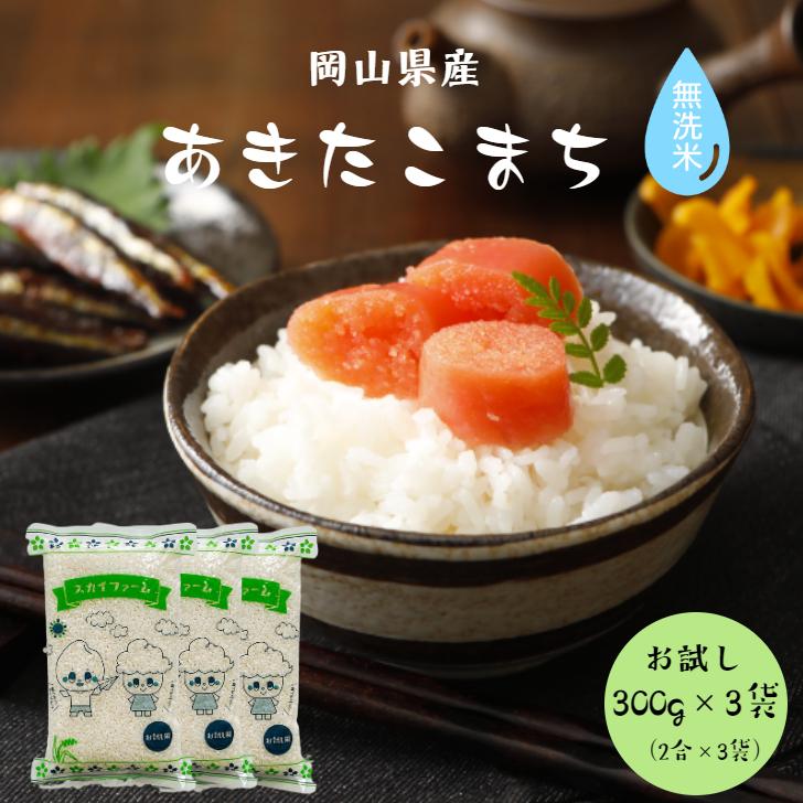 新米 お米 無洗米 送料無料 令和5年産 岡山県産あきたこまち 無洗米 300g(2合)×3袋 900g メール便 白米 精米 国産 ポイント消化  お試し 食品 安い 1kg以下