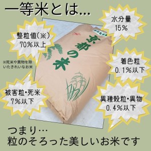 玄米 30kg 京都丹波米 こしひかり◇《新米 一等米 コシヒカリ 特別栽培米 減農薬》※北海道・沖縄・離島への配送不可