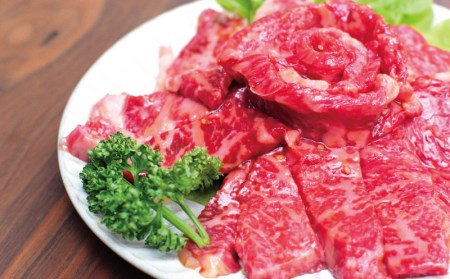 肉 牛肉 牛 鶏肉 小分け 味 焼き肉 焼肉   みんな大好き！味付き焼肉定期便