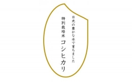 令和5年産　特別栽培米コシヒカリ　玄米10kg（5kg×2袋）