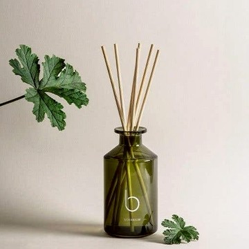 每天都有好心情【Sharktankgift】[BAMFORD] 天竺葵室內擴香 200ml 生日好禮 居家香氛 擴香瓶 香氣 紓壓 療癒 送禮推薦 創造生活儀式感 生日禮 閨蜜禮