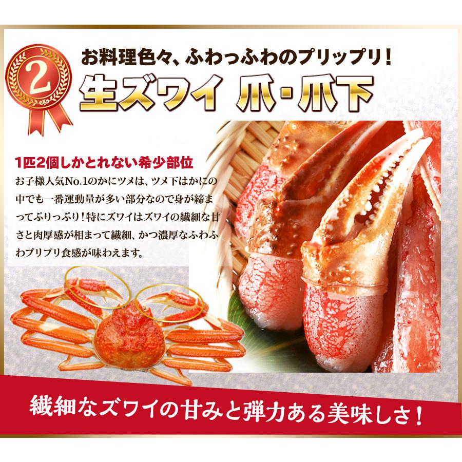 かに カニ ズワイガニ カット生ずわい蟹 500g(総重量700g) しゃぶしゃぶ プレゼント お歳暮