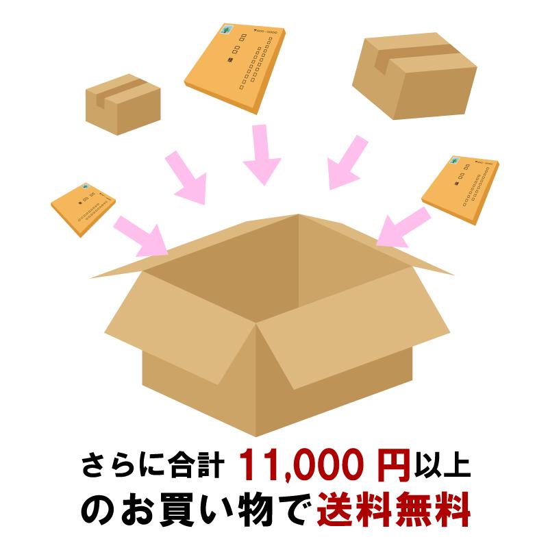 もずくの佃煮（ピリ辛）100g 同梱で送料がお得