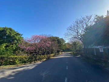 新北淡水區鄉根園社區型管理興仁段地面平坦丙建｜新北市淡水區興仁段