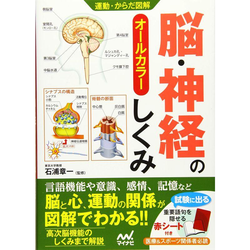 運動・からだ図解 脳・神経のしくみ