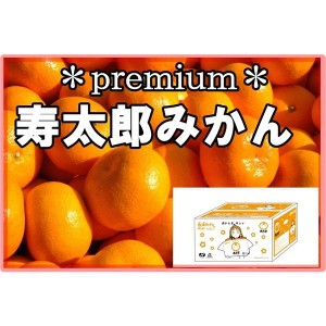 [予約 2月1日から3月20日のご納品] 寿太郎 みかん 10kg SMLサイズ 静岡県 西浦 青島 西浦みかん 箱買い 寿太郎みかん ラブライブ！サンシ