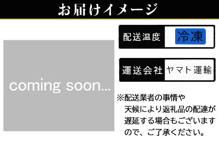 「お歳暮」A4～A5等級限定 佐賀牛リブロースステーキ 300g×2枚(合計600g) A4 A5 国産 牛肉 霜降り ブランド牛 ステーキ BBQ 焼肉 キャンプ アウトドア 贈り物 ギフト「2023年 令和5年」