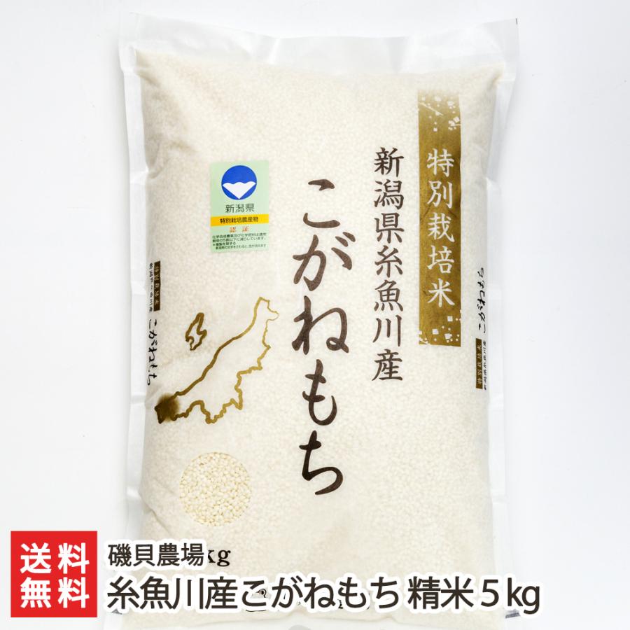 特別栽培米（減農薬・減化学肥料）新潟産こがねもち 精米5kg 磯貝農場 料無料
