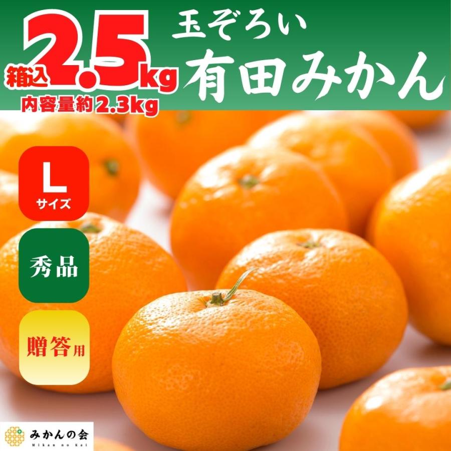 みかん 箱込 2.5kg 内容量 2.3kg Lサイズ 秀品 有田みかん 和歌山県産 産地直送 贈答用  