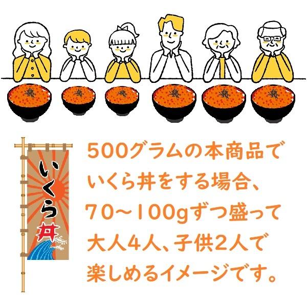 北海道産秋鮭いくら正油漬　500g　ギフト　イクラ　プレゼント　お土産　お歳暮　お節　お正月