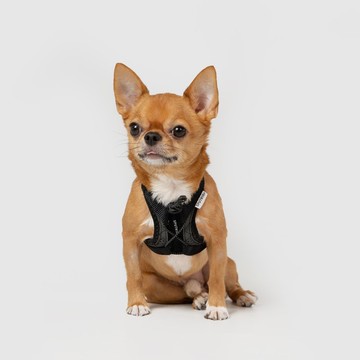 SPUTNIK 終極胸背帶 - XS號