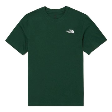 THE NORTH FACE Nse Bandana T-shirt 'Green'