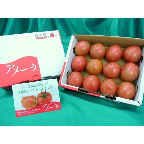 静岡県産 ”高糖度フルーツトマト アメーラ” 10〜20個前後 約1kg 化粧箱入り