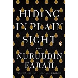 Hiding in Plain Sight (Paperback)