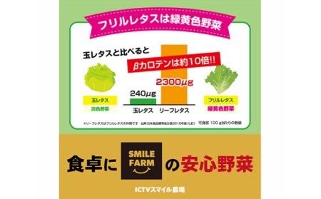 洗わず食べられる！ フリルレタス 8袋