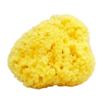 nIZio 希臘天然絲綢海棉 中大型  黃色  1個