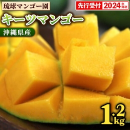 琉球マンゴー園の幻のマンゴー！キーツマンゴー約1.2kg