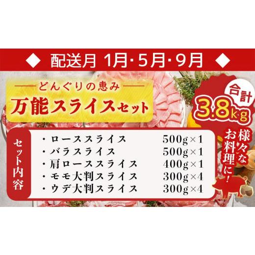 ふるさと納税 宮崎県 都城市 「どんぐりの恵み豚」エンジョイ定期便(5ヶ月)_T40（5）-1102_(都城市) 万能スライスセット キャンプ飯セット こま切れセット し…