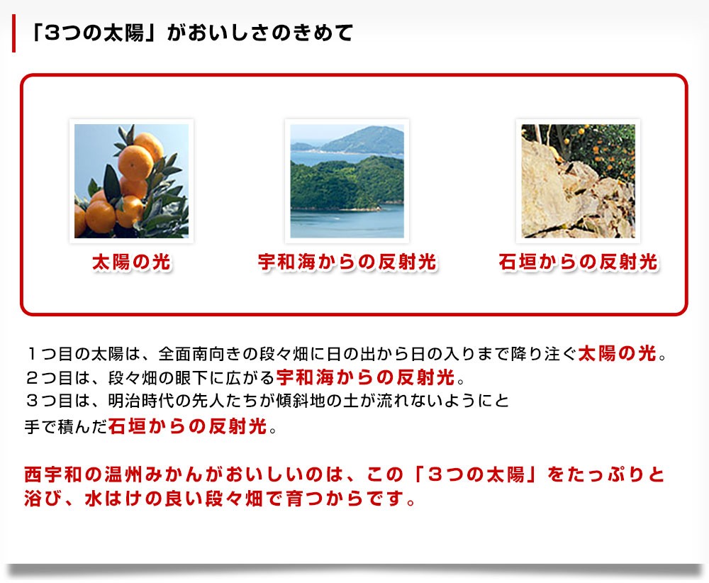 愛媛県より産地直送 JAにしうわ 西宇和プレミアムみかん「媛美月」小玉 SSサイズ 5キロ(80玉前後) 送料無料 蜜柑 ミカン ひめみづき