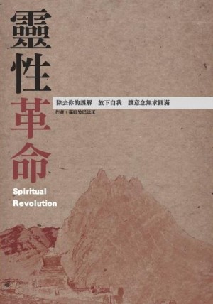 靈性革命：除去你的誤解放下自我讓意念無求圓滿[二手書_良好]