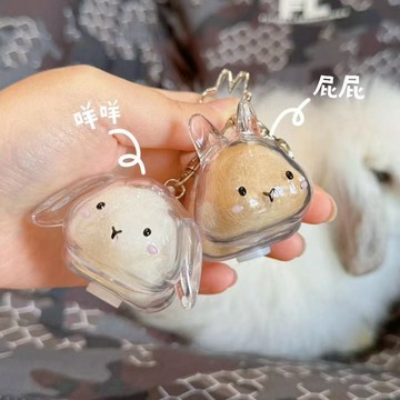臺灣出貨🚚可愛收納兔毛掛件透明毛髮存放收納盒紀念膠囊寵物蛋包鑰匙扣