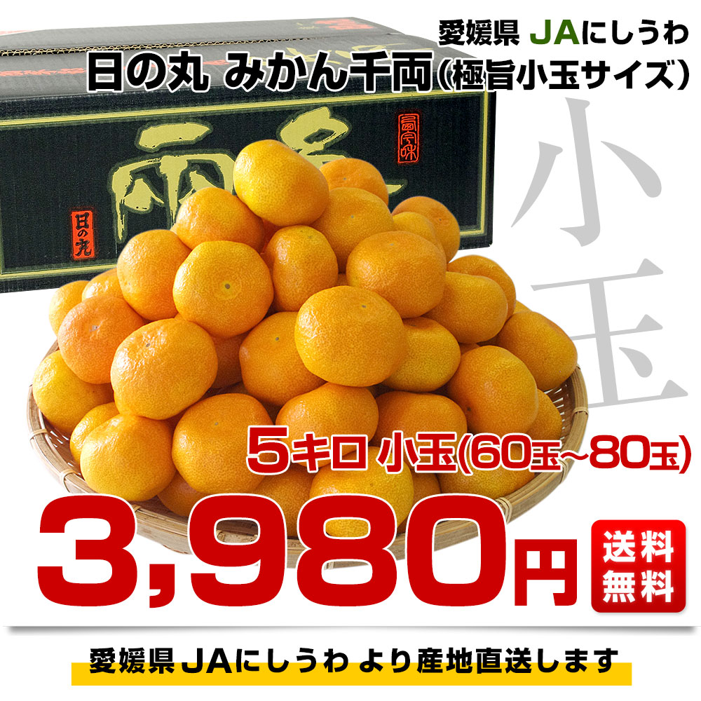 愛媛県より産地直送 JAにしうわ 日の丸みかん 千両 極旨小玉サイズ 5キロ（60玉から80玉） 蜜柑 ミカン  送料無料