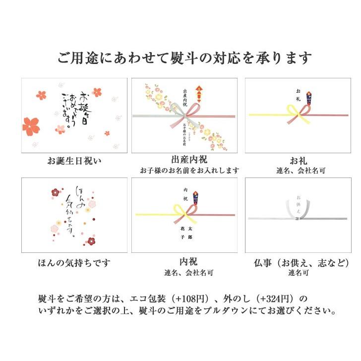 鶏しゃぶ 鍋セット 2-3人前 はかた一番どり お取り寄せ鍋 メ 冷凍 お歳暮 ギフト