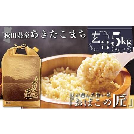 ふるさと納税 秋田県産おばこの匠あきたこまち　5kg （5kg×1袋）玄米 秋田県大仙市