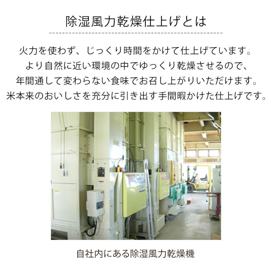 令和5年度産 こしひかり コシヒカリ 玄米 富山県産 30kg カナダ農園 はぐくみ 育