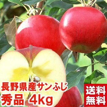 お歳暮 ギフト 樹成り完熟サンふじりんご 秀品4kg