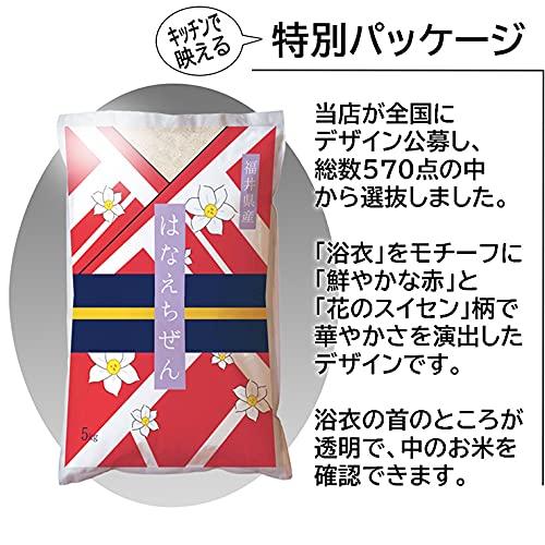 新米 福井県産ハナエチゼン 令和5年産 (10kg)