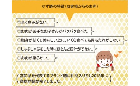 しゃぶしゃぶセット500g（約2人前）- 豚肉 しゃぶしゃぶ 豚しゃぶ 豚バラ 豚バラ ロース 豚バラスライス 国産 肉 ギフト・熨斗対応可 贈答