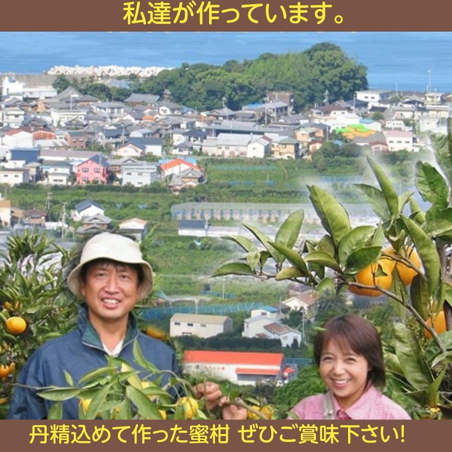 みかん  有田みかん 田村地区産 訳あり ご家庭用 ど根性くん 5kg サイズ不揃い 和歌山県 蜜柑 ミカン 柑橘 《11 上旬〜11 中旬より出荷》