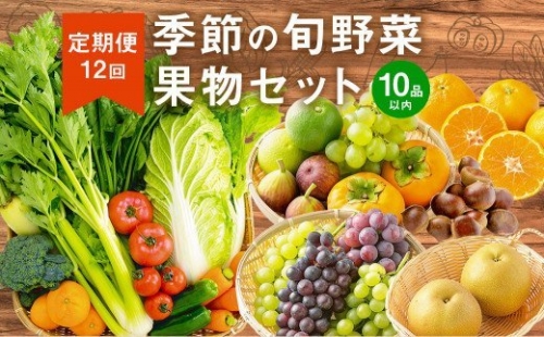 E16  季節の 旬野菜 ・ 果物 セット 詰め合わせ