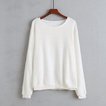 長袖圓領毛絨衛衣 絨衫秋冬裝新款休閑家居服寬松套頭上衣01/6-4