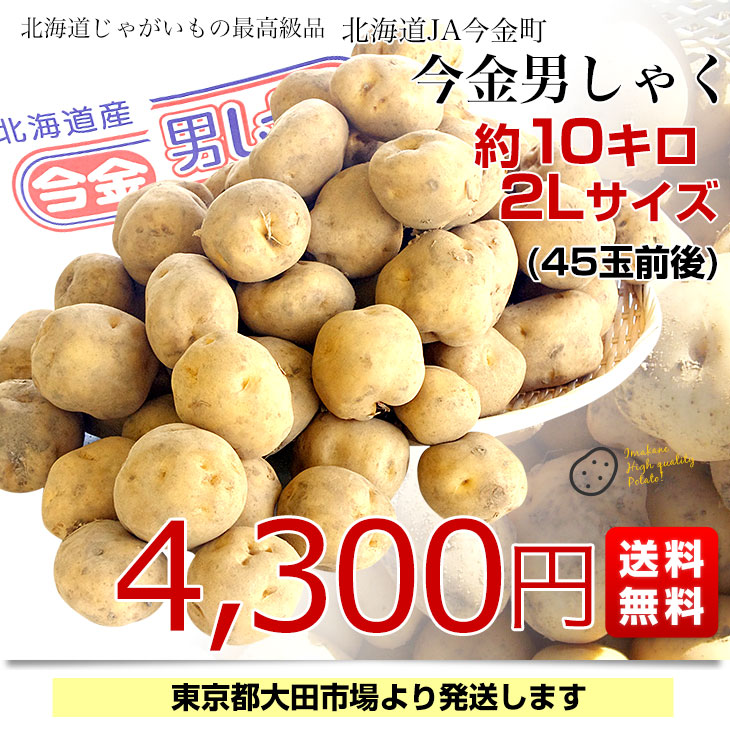 北海道産 JA今金町 じゃがいも 今金男爵 2Lサイズ 約10キロ(45玉前後入り)　送料無料 馬鈴薯 ジャガイモ 芋 男爵芋　市場発送