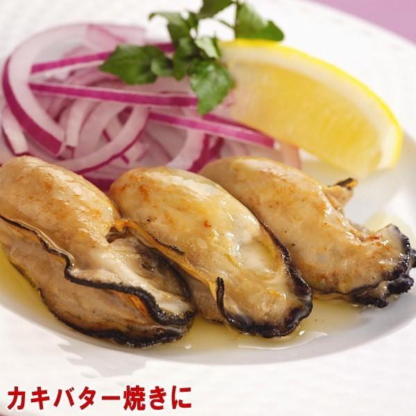 カキ 牡蠣 かき1kg 広島県産 広島カキ L 1kg(正味850g)×1袋 Lサイズ 送料無料