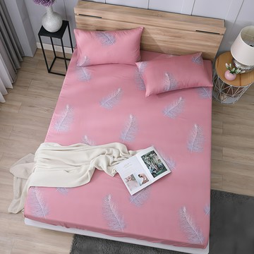 Ishur 伊舒爾 雲絲棉床包枕套組 床包 + 枕套 2個  羽之翼  雙人特大